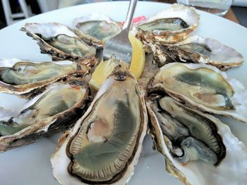 High angle view of shells in plate on table