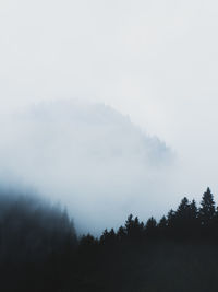 Scenic view of trees against sky during foggy weather