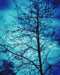 Low angle view of bare tree against sky