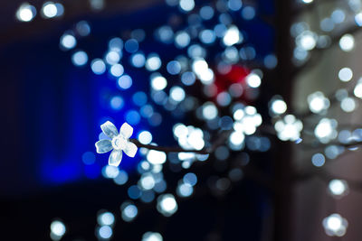 Close-up of illuminated light bulb