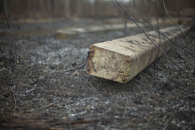Concrete beams on the ground. build materials after a fire. remains on the scorched earth. 