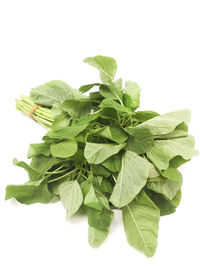 Close-up of vegetable over white background