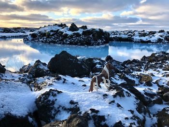 Scenic view of sea against sky during winter