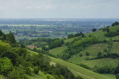 High angle view of trees on field against sky