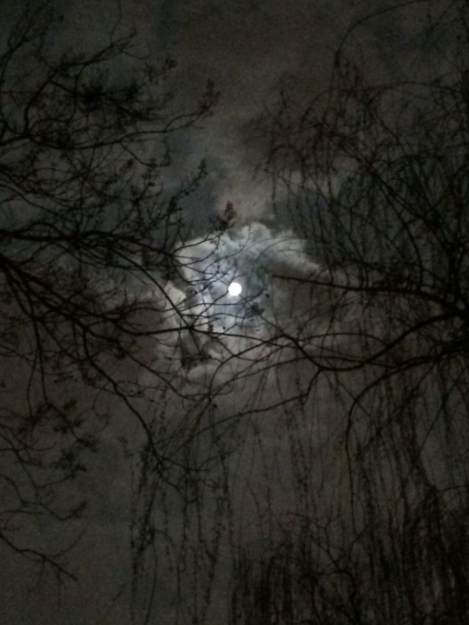 bare tree, branch, night, low angle view, tree, nature, tranquility, sky, beauty in nature, silhouette, moon, scenics, dusk, tranquil scene, reflection, water, weather, outdoors, astronomy, no people