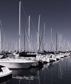 Sailboats in harbor