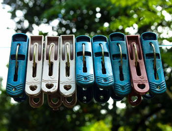 Close-up of clothes hanging on tree