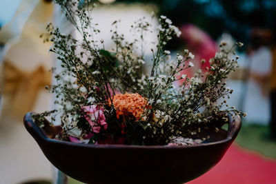 Close-up of potted plant on table