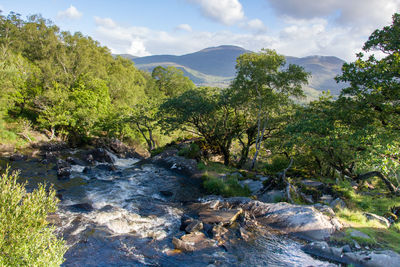 Scenic view of waterfall against sky