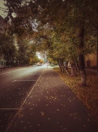 Road amidst trees in park during autumn