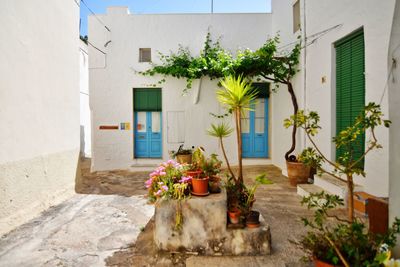 A small street between the old houses of presicce, a  village in the province of lecce in italy.