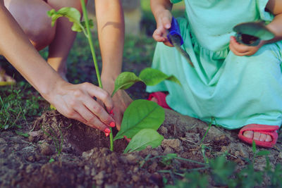 Low section of woman with daughter planting in yard