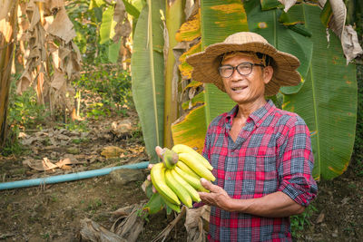 Portrait of smiling senior man holding bananas while standing at farm