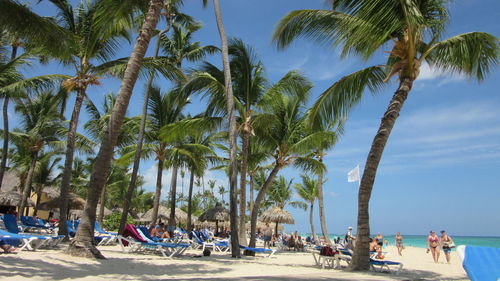 People relaxing on beach