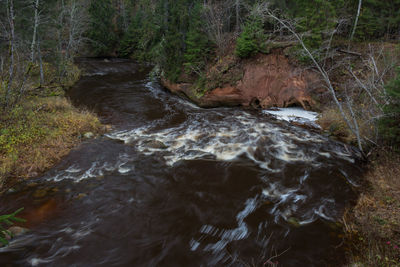 Stream flowing in forest