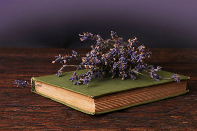 Close-up of flower vase on table