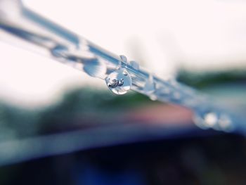 Close-up of water drop on leaf