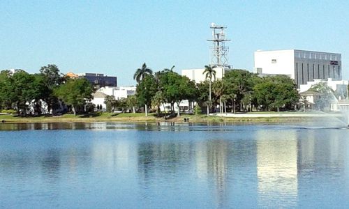 Reflection of trees in water