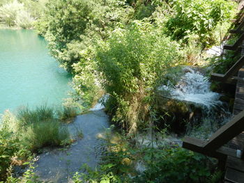 High angle view of lake amidst trees