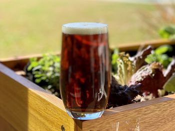 Close-up of beer glass on table