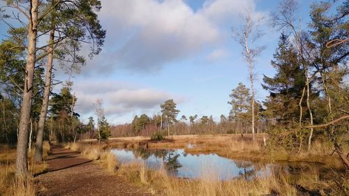 Scenic view of lake against sky
