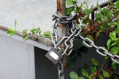 Close-up of padlock on fence