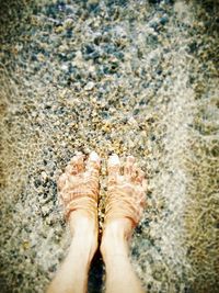 Low section of person standing on beach