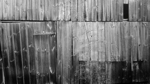 Close-up of wooden door