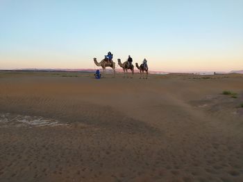 People riding horse on sand at beach against sky