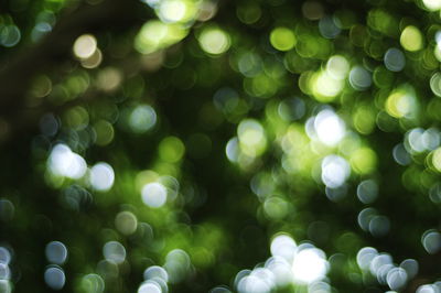 Defocused image of illuminated green lights at night