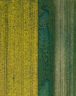 Full frame shot of multi colored farm