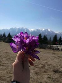 Close-up of hand holding pink flower on field against sky