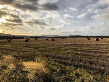 Hay bales on field against sky