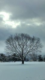 Bare trees on snow covered field against sky