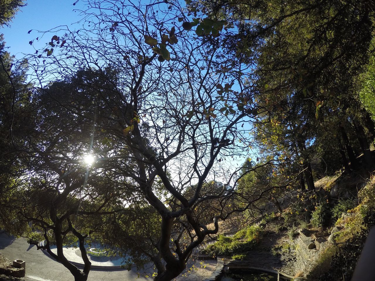 Joaquin Miller Park