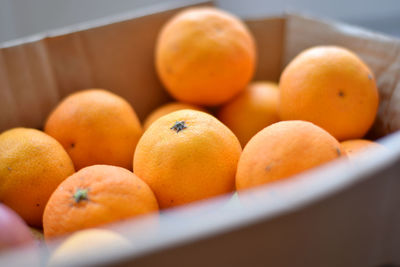 Close-up of orange fruits in crate