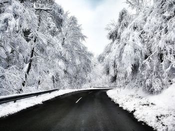 Road amidst trees against sky during winter