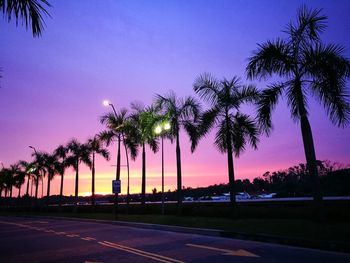 Silhouette palm trees against sky at night