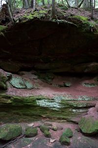 Close-up of rock formation in water