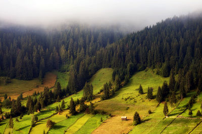 High angle view of trees on land against sky