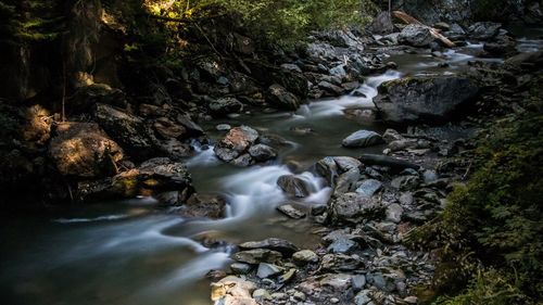 Stream flowing through rocks in forest