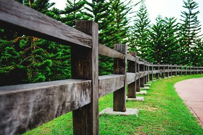 Close-up of footbridge against trees