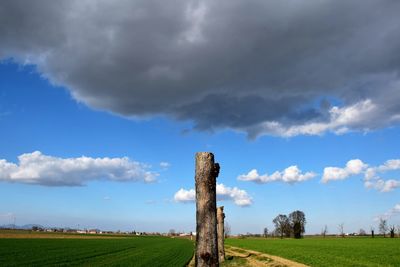 Wooden posts on field against sky