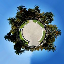 Low angle view of palm tree against clear sky