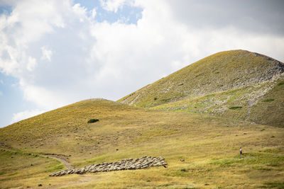 Scenic view of landscape against sky