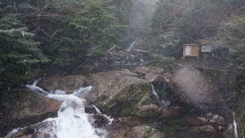 Scenic view of waterfall in forest