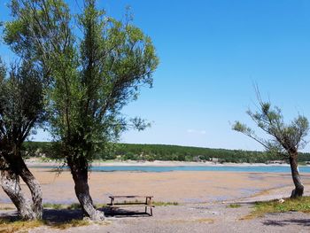 Scenic view of lake against clear blue sky