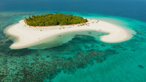 Island with beautiful beach, palm trees and turquoise water. patawan island with sandy beach