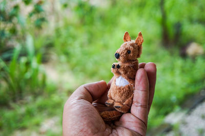 Cropped hand of person holding toy