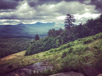 Scenic view of landscape against sky